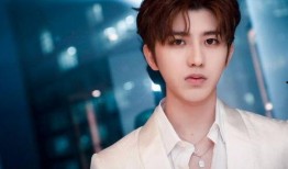 爆料蔡徐坤母亲视频大全,揭秘明星家庭背后的故事