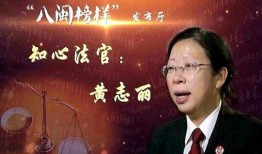 知心法官 在线观看,在线观看，感受司法温情与智慧之光