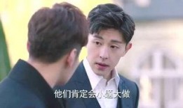 番茄娱乐爆料哥,娱乐圈幕后风云