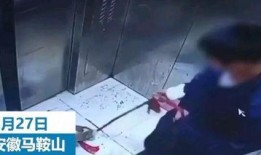 小男孩爆料教材视频下载,揭秘教育资源的秘密通道