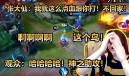 大仙爆料吵架事件视频,一场激烈争吵背后的真相揭秘