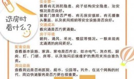 新闻爆料中介租房,揭秘行业潜规则与消费者权益受损