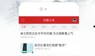 石家庄高邑头条爆料新闻,详情令人震惊