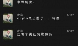 老岳爆料小虎视频大全集,小虎视频大全集幕后故事大揭秘