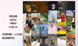 如何拿到爆料视频,轻松掌握一手资讯