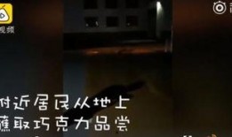 巧克力爆料视频大全集,揭秘视频大全集精彩瞬间