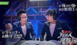 电竞解说爆料大全最新,揭秘赛场幕后风云与精彩瞬间