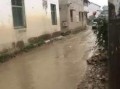 城固新闻爆料,揭秘当地热点事件背后的真相