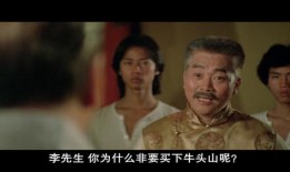 大醉拳在线观看,笑破江湖，醉舞乾坤