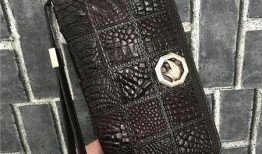最新豪华版卡包爆料,全新爆料揭示神秘卡牌与策略变革