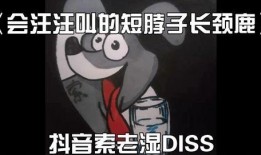 抖音网红狗子爆料视频,揭秘幕后真相！