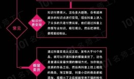 手册爆料视频大全,揭秘幕后真相与精彩瞬间