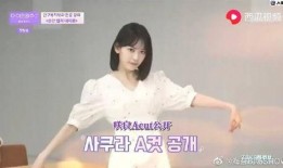 张元英最新爆料视频播放,精彩瞬间与幕后故事大公开