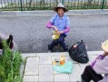 巴西大妈爆料新闻,震惊内幕揭露