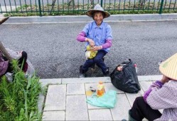 巴西大妈爆料新闻,震惊内幕揭露