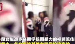 洪老六深夜爆料视频大全,视频大全揭秘娱乐圈幕后真相