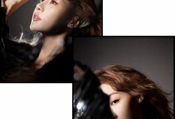 明星摄影师爆料视频下载,幕后视频下载全记录
